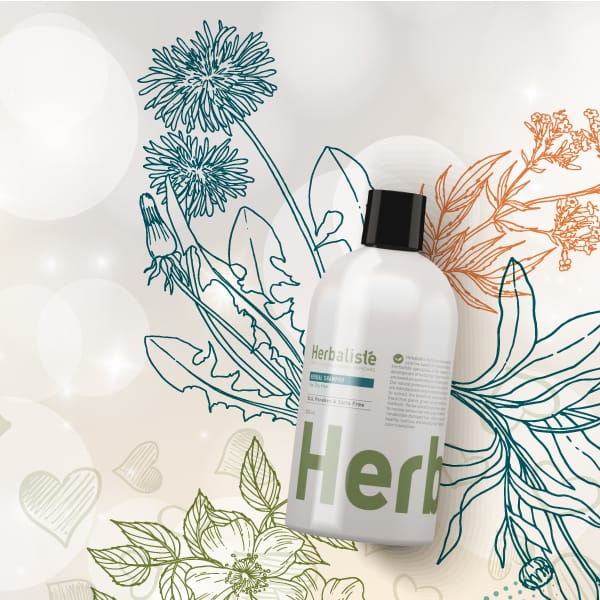 Herbaliste Herbal Shampoo, yrttishampoo kuiville ja vaurioituneille hiuksille 500 ml