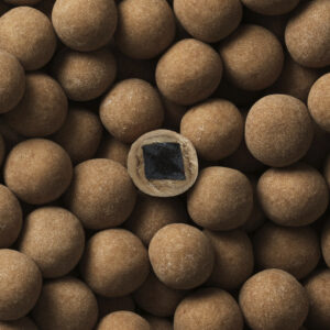 Lakrids by Bülow D – SALT AND CARAMEL (kaksi kokoa)