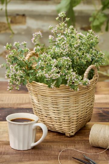 Punottu bambukori Ø 21cm käsikahvoilla