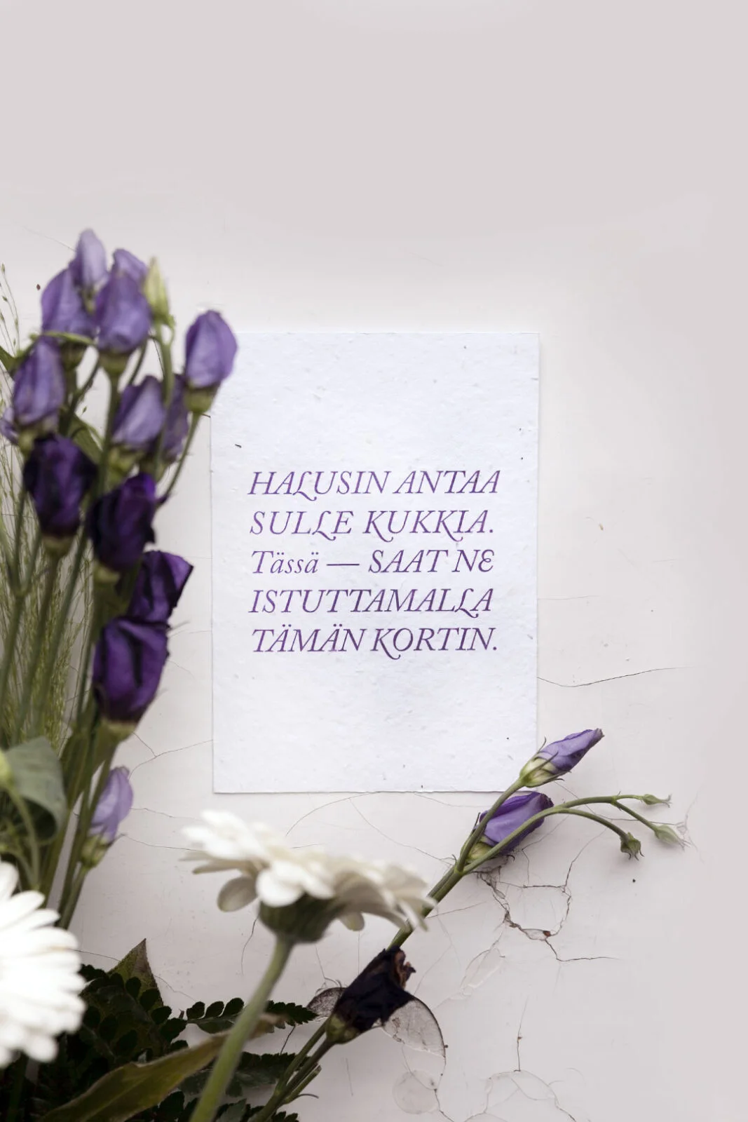 Istutettava kukansiemenkortti A6 - Kuva 1