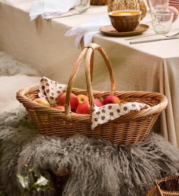 Iso pajukori vahvoilla käsikahvoilla