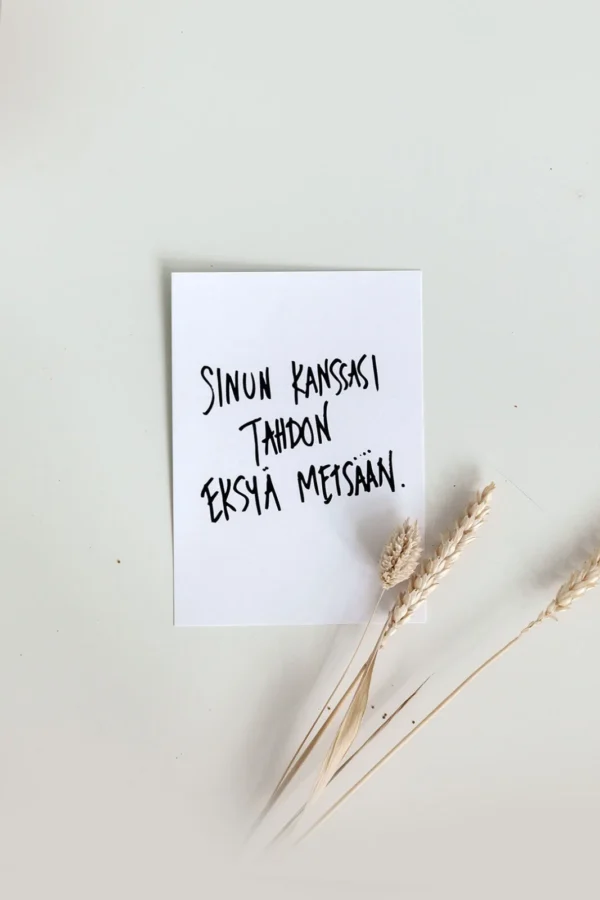 Eräretkeilijän kortti A6