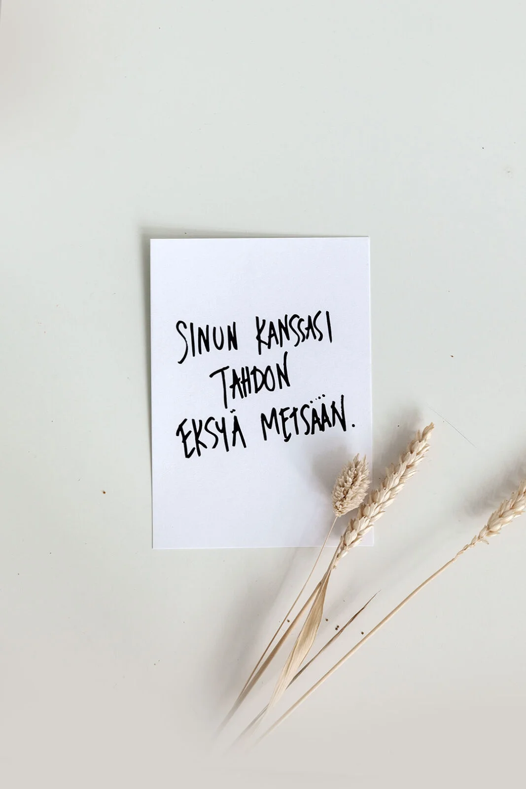 Eräretkeilijän kortti A6 - Kuva 1